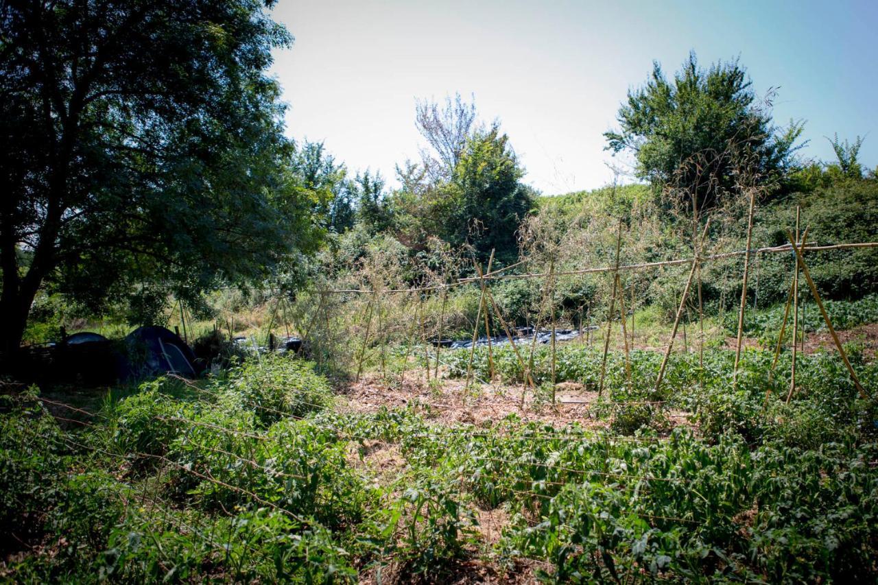 Tente En Permaculture Pirate Creysse  외부 사진